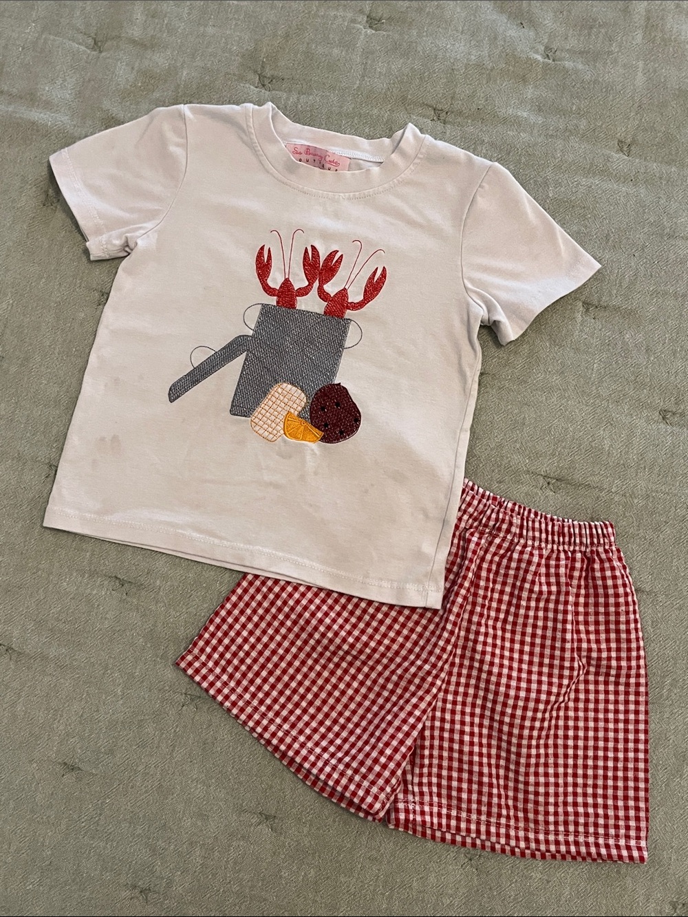 Crawfish boil Tee with Red Gingham Shorts Set